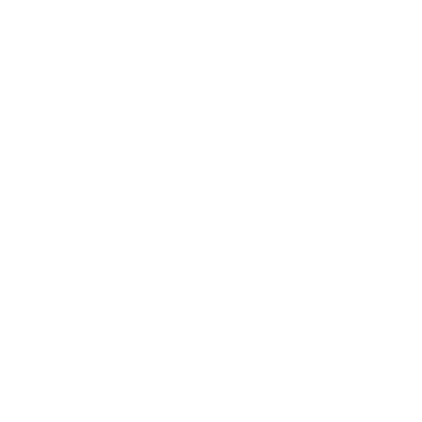 icon png